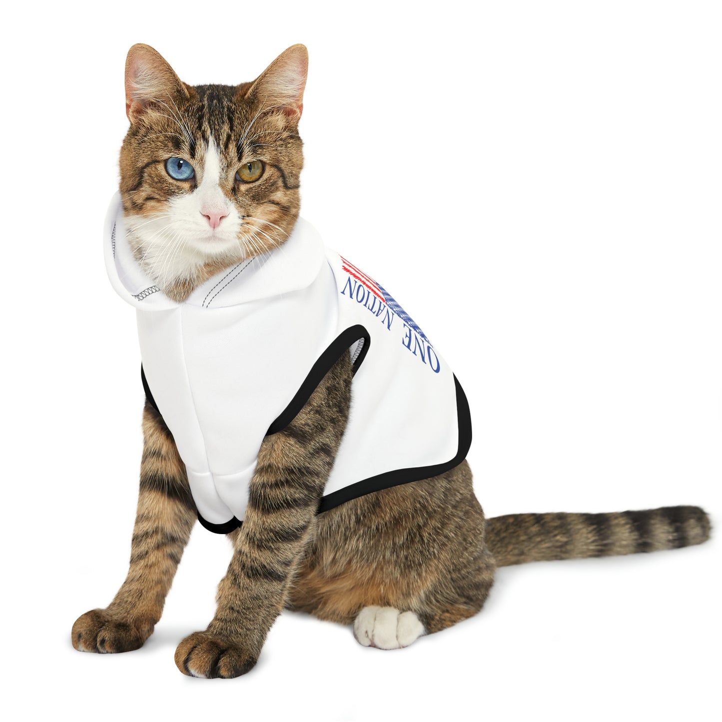 One Nation Under God with American Flag Pet Hoodie