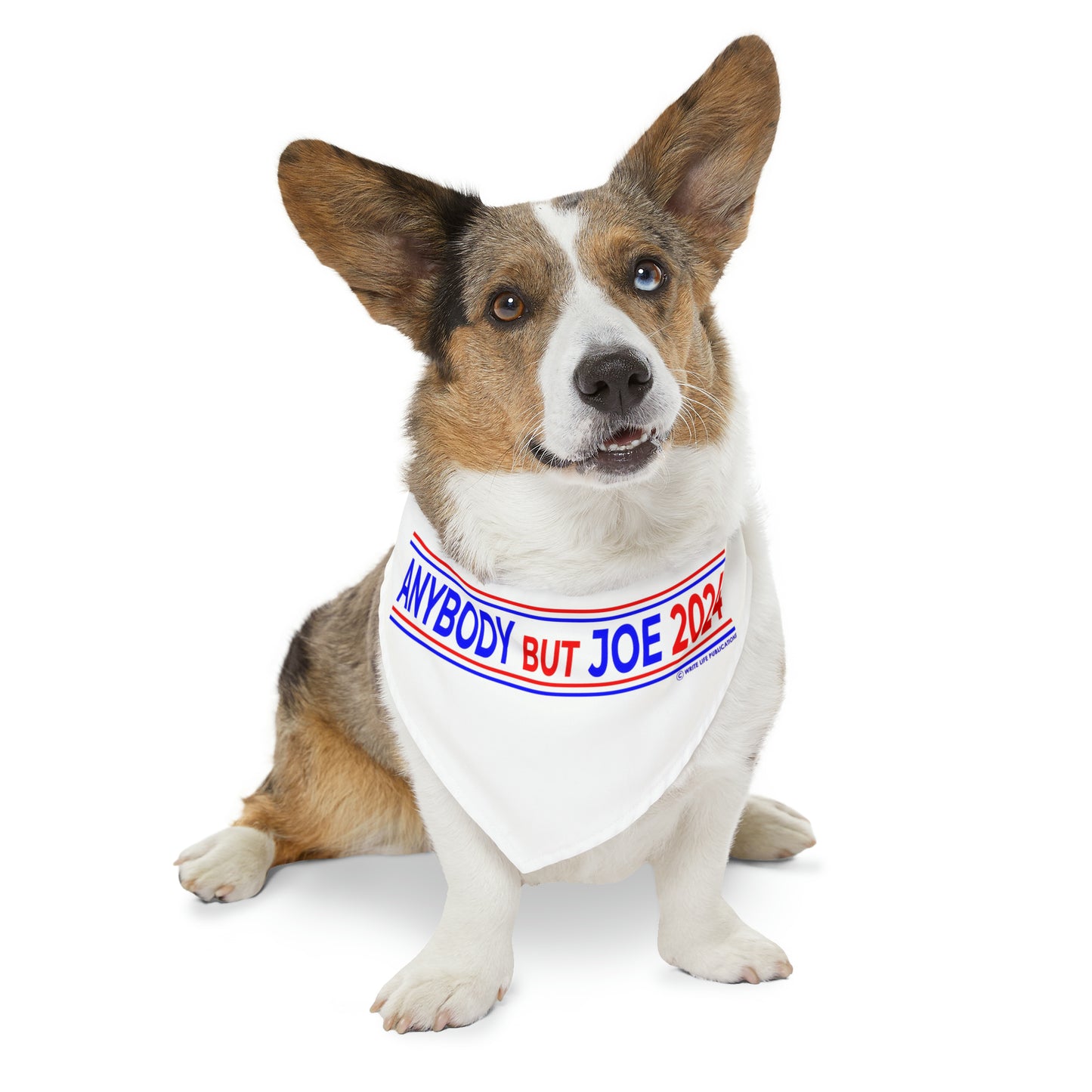 Anybody But Joe 2024 Pet Bandana Collar