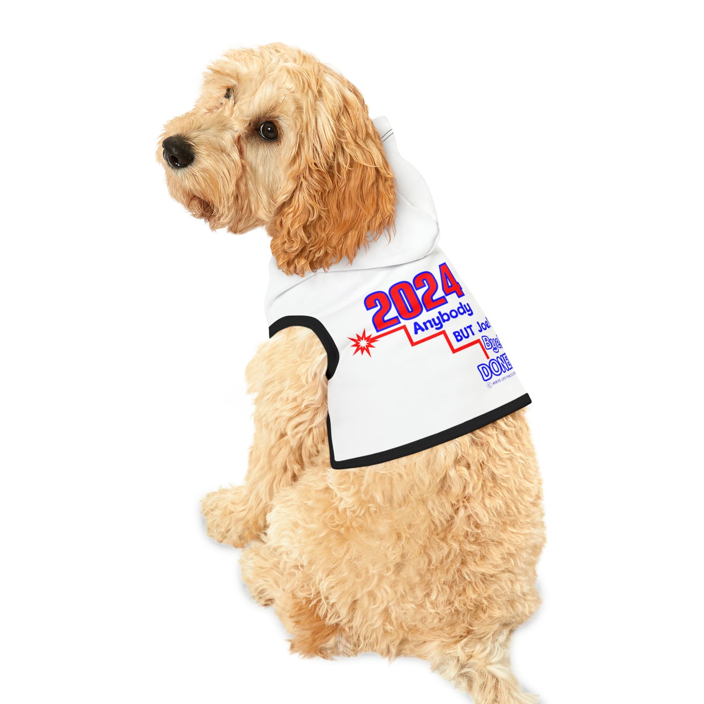 Short Fuse Joe Bye Done Pet Hoodie