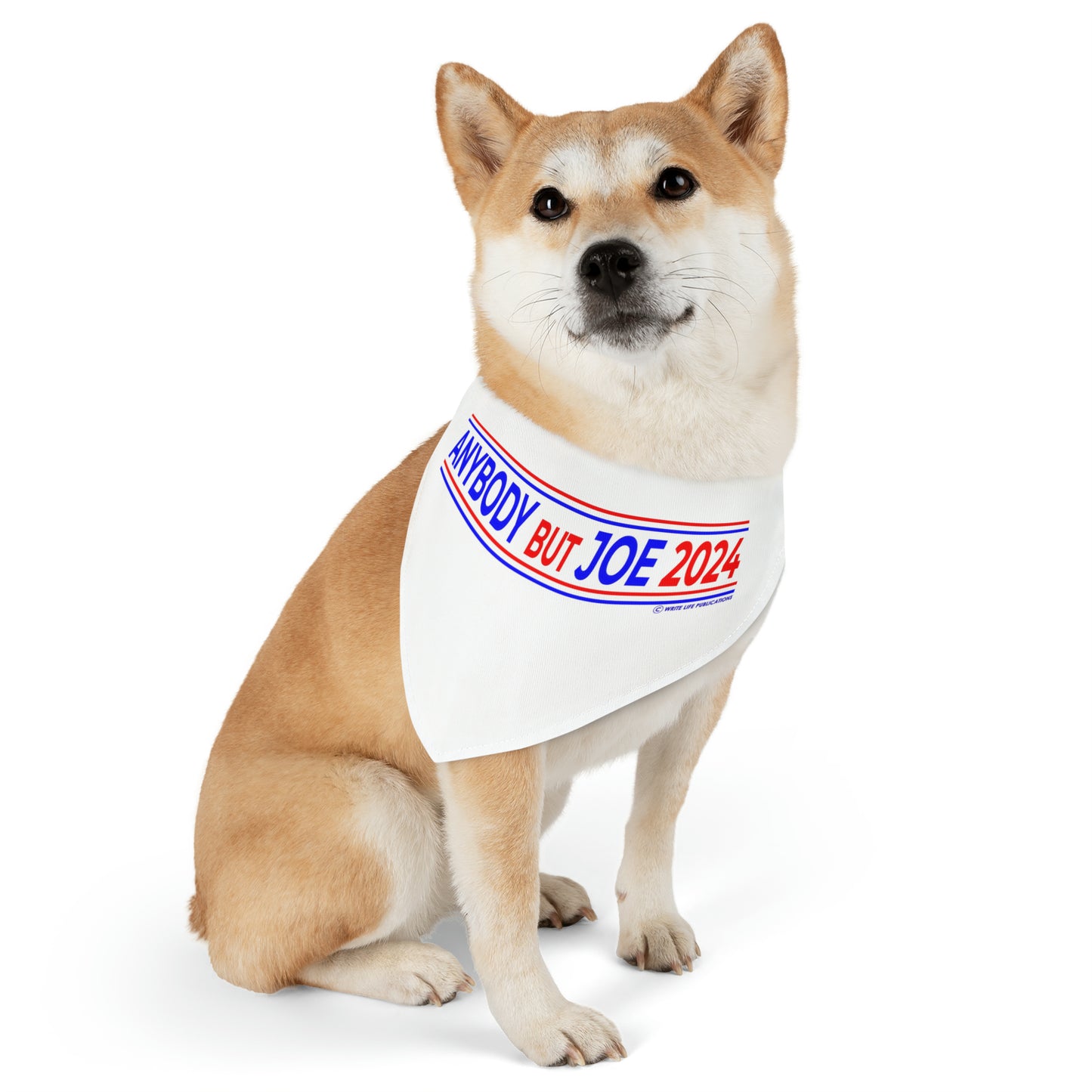 Anybody But Joe 2024 Pet Bandana Collar