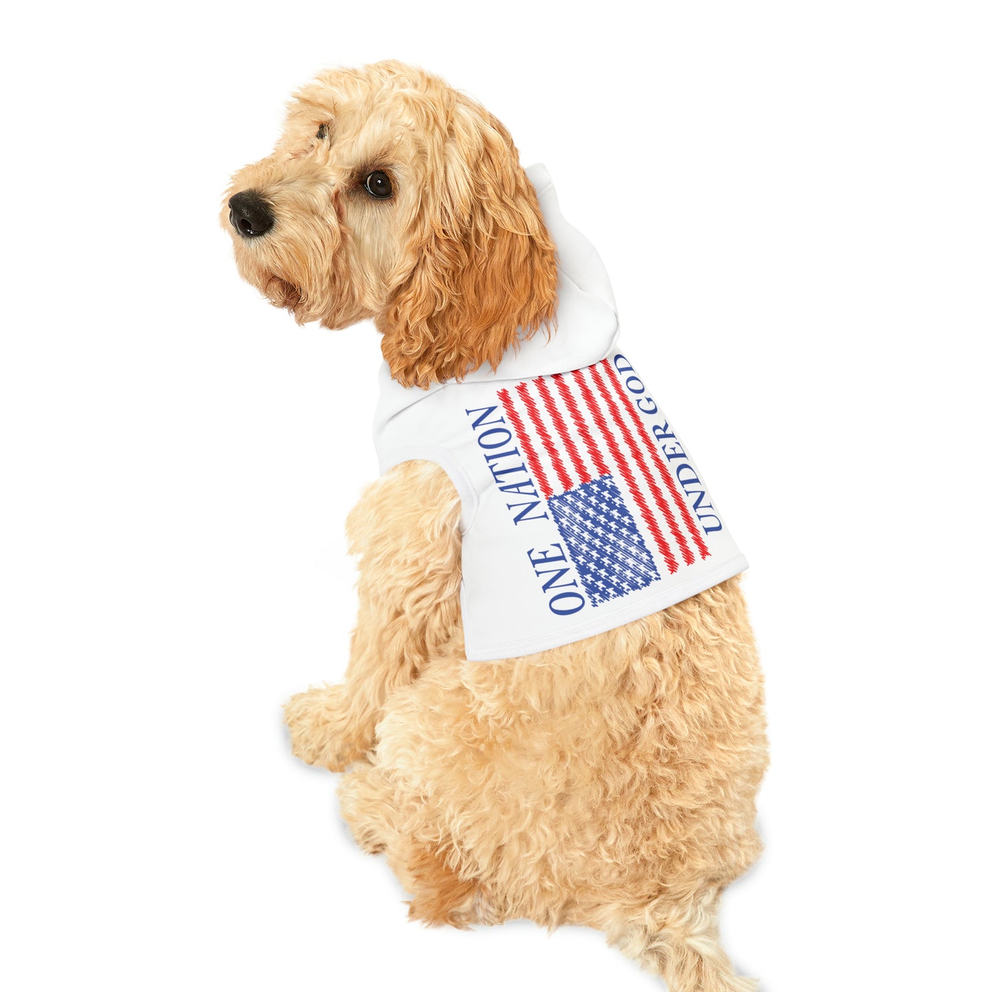 One Nation Under God with American Flag Pet Hoodie