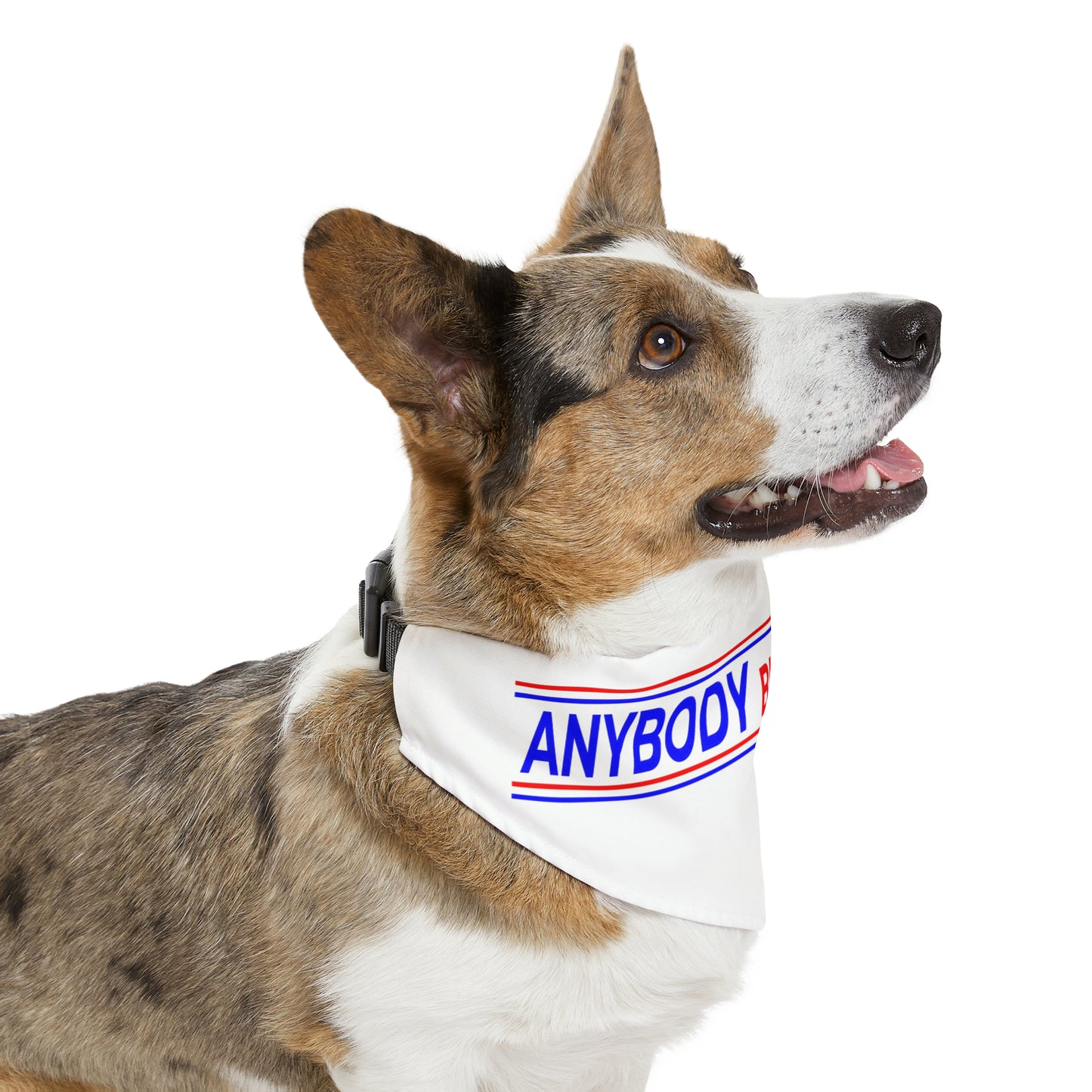 Anybody But Joe 2024 Pet Bandana Collar