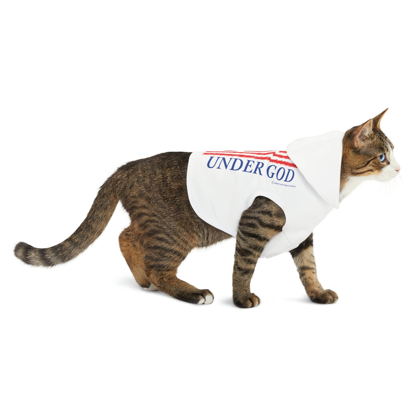 One Nation Under God with American Flag Pet Hoodie