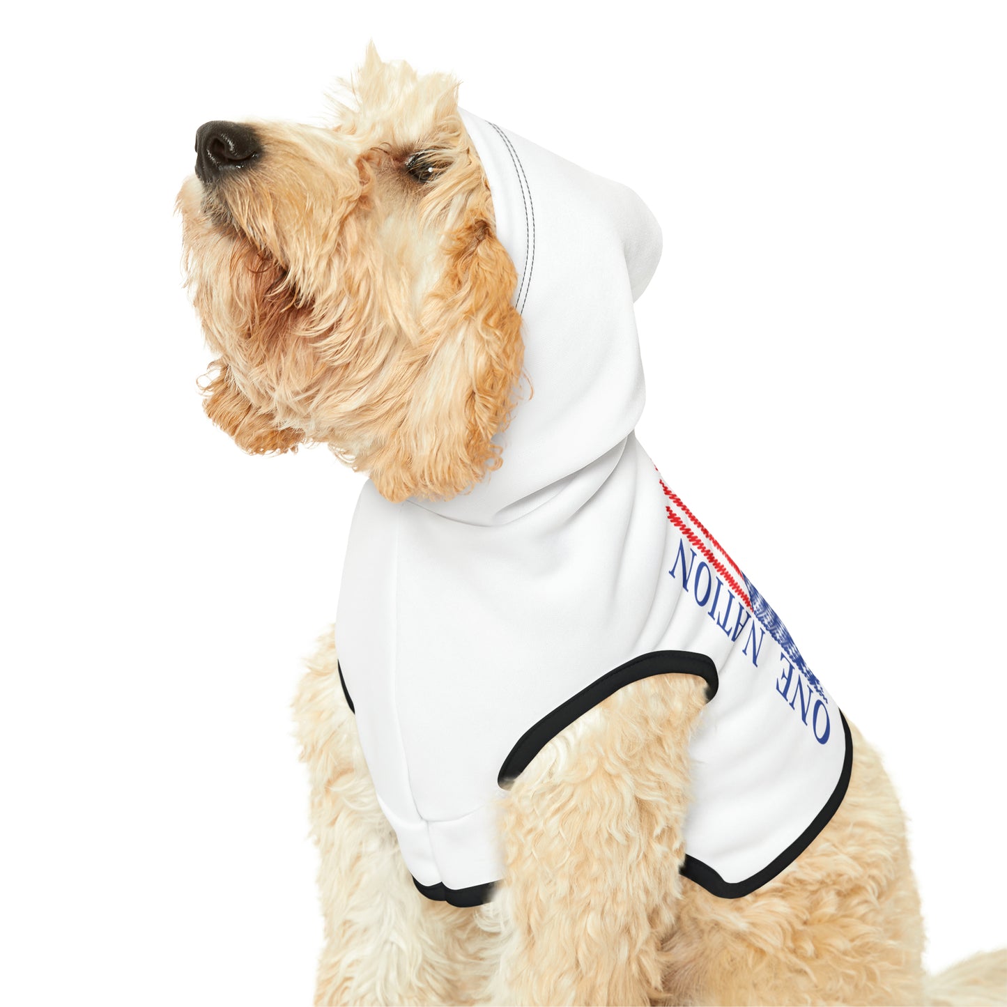 One Nation Under God with American Flag Pet Hoodie