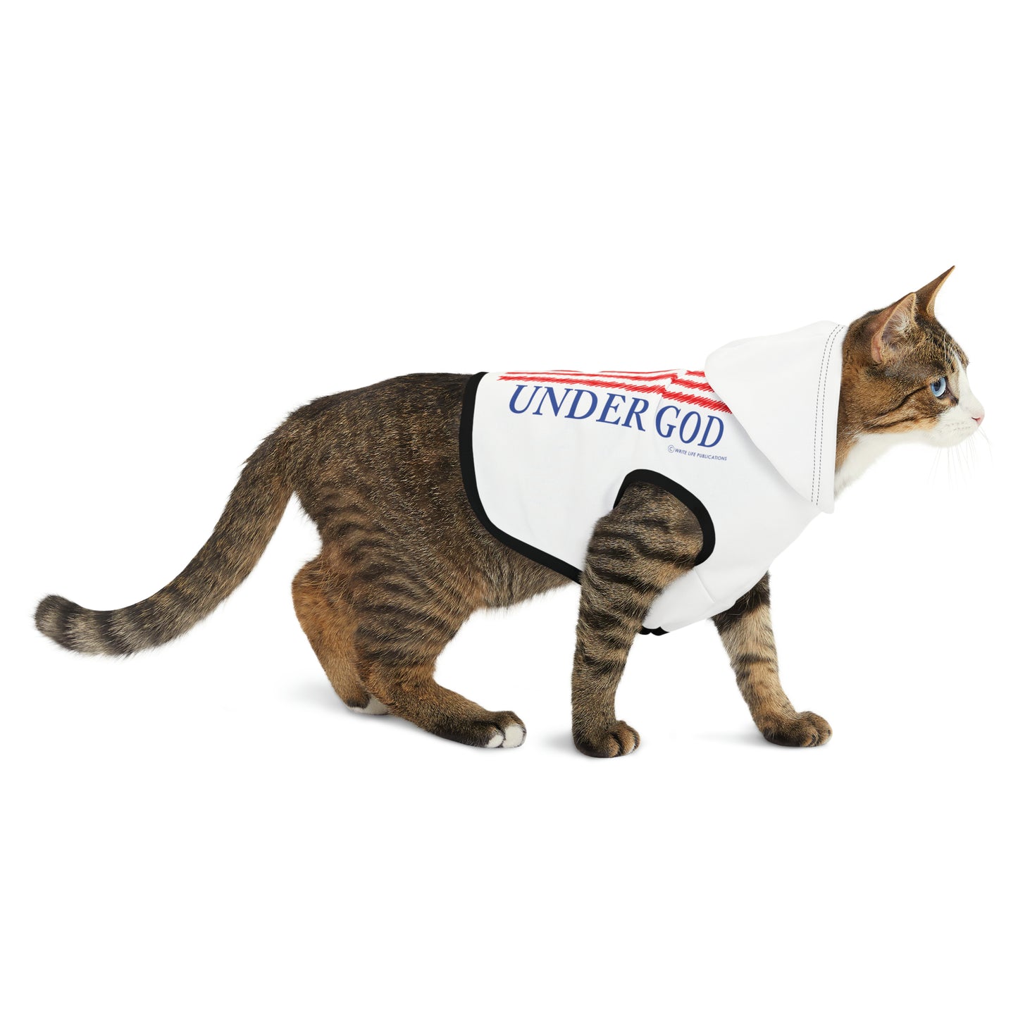 One Nation Under God with American Flag Pet Hoodie