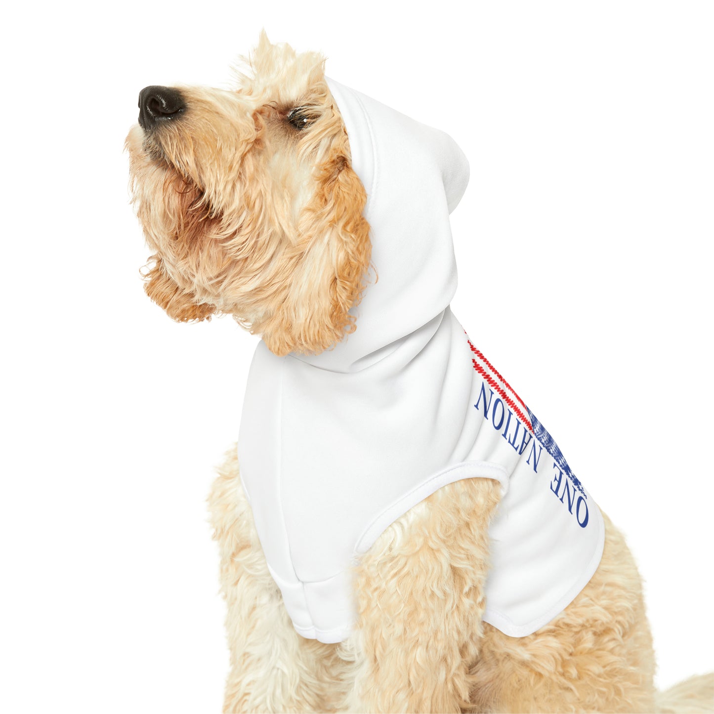 One Nation Under God with American Flag Pet Hoodie