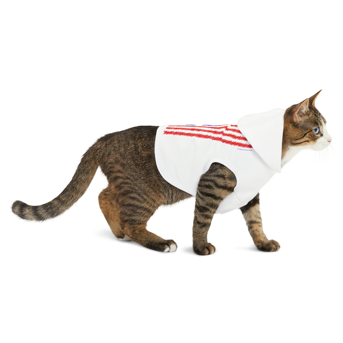 Let Truth (Trump) Prevail with American Flag Pet Hoodie