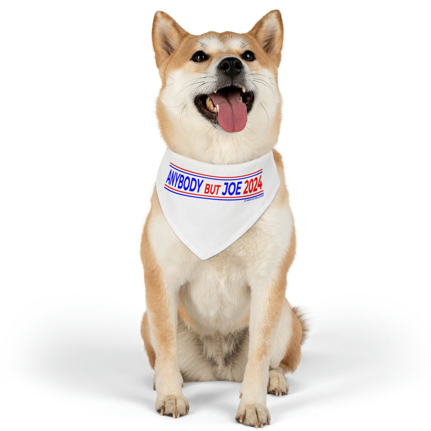 Anybody But Joe 2024 Pet Bandana Collar