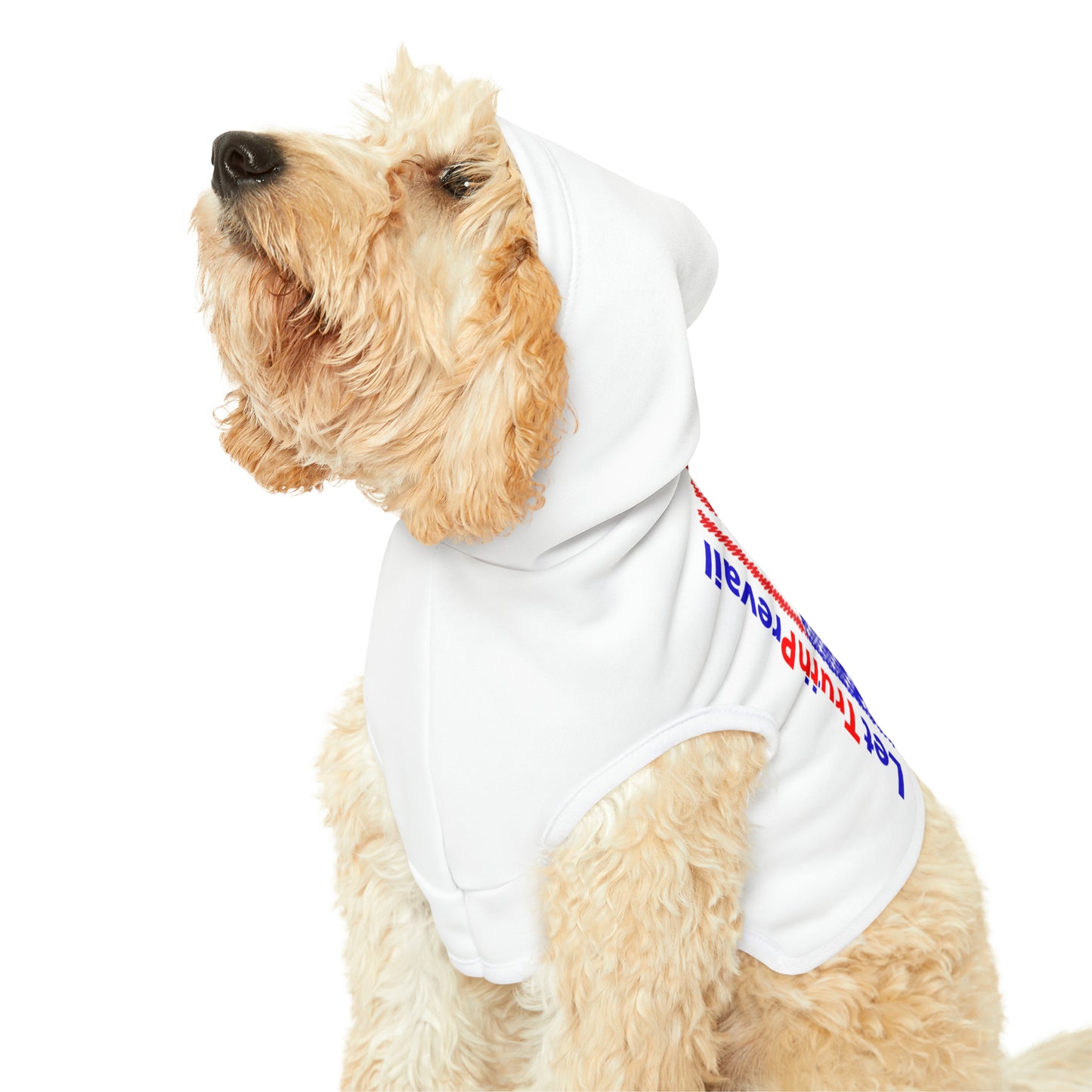 Let Truth (Trump) Prevail with American Flag Pet Hoodie