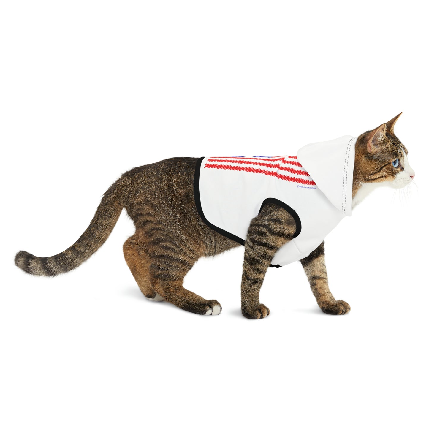 Let Truth (Trump) Prevail with American Flag Pet Hoodie