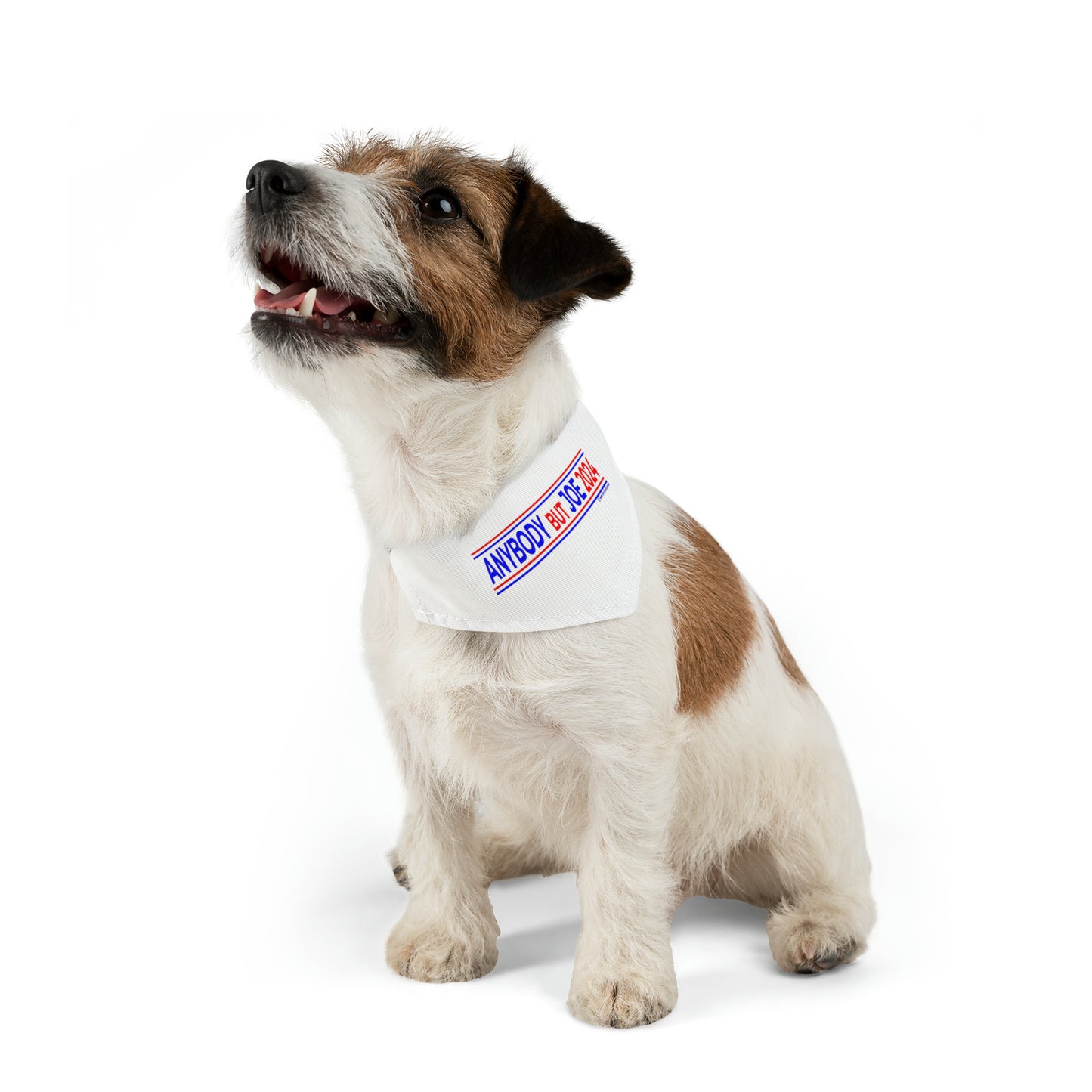 Anybody But Joe 2024 Pet Bandana Collar