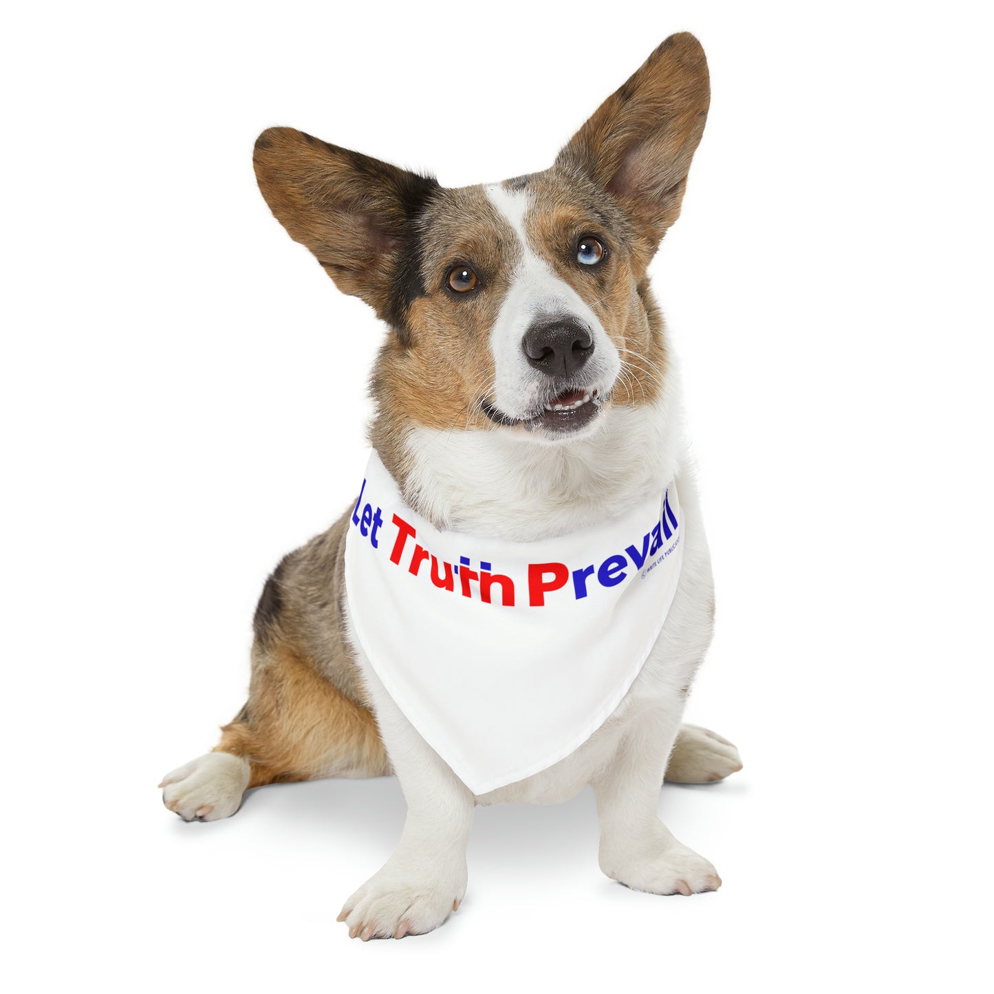 Let Truth (Trump) Prevail Slogan Pet Bandana Collar