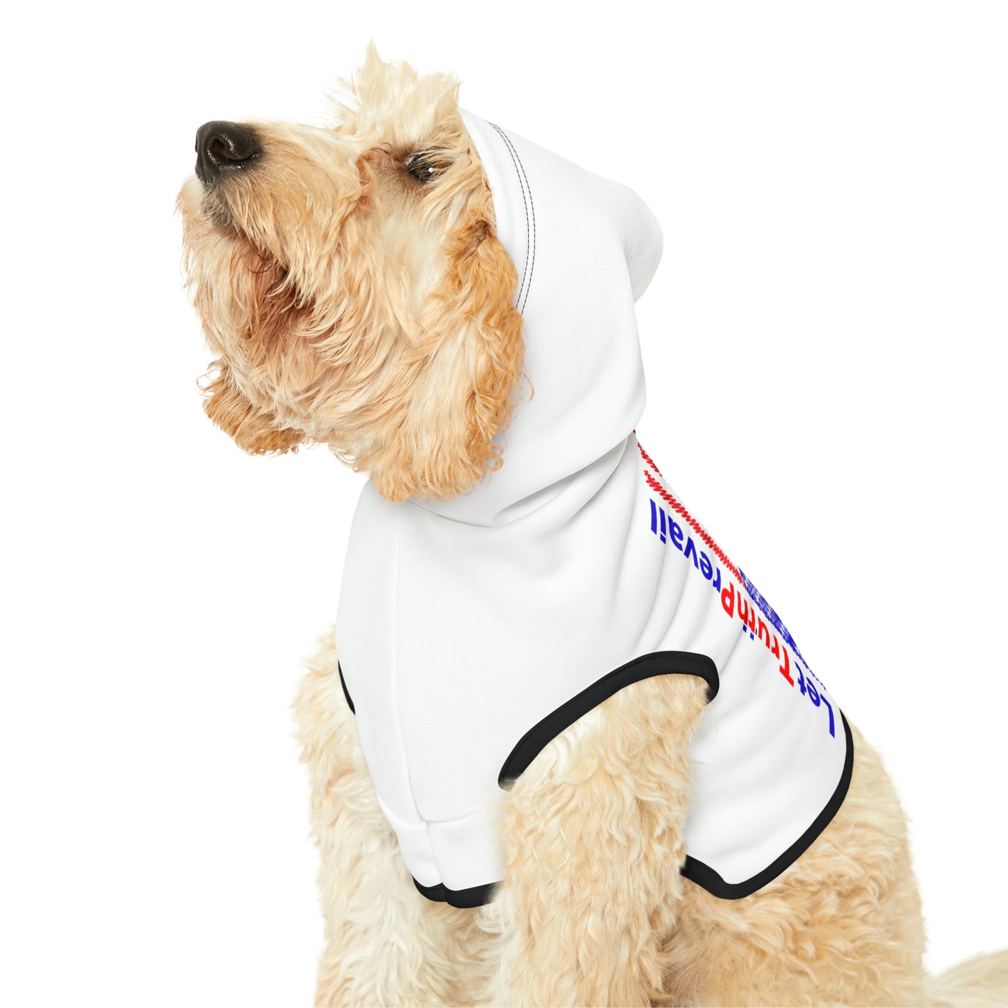 Let Truth (Trump) Prevail with American Flag Pet Hoodie